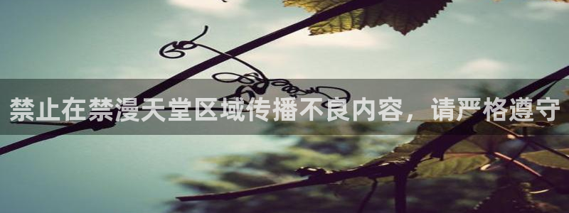 里番动漫omofun：禁止在禁漫天堂区域传播不良内容，请严格遵守