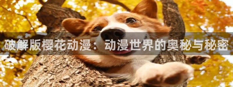 managereader漫画官网入口：破解版樱花动漫：动漫世界的奥秘与秘密