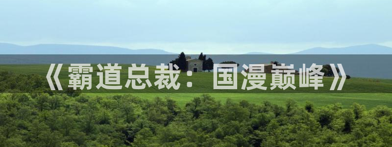里番动漫omofun：《霸道总裁：国漫巅峰》
