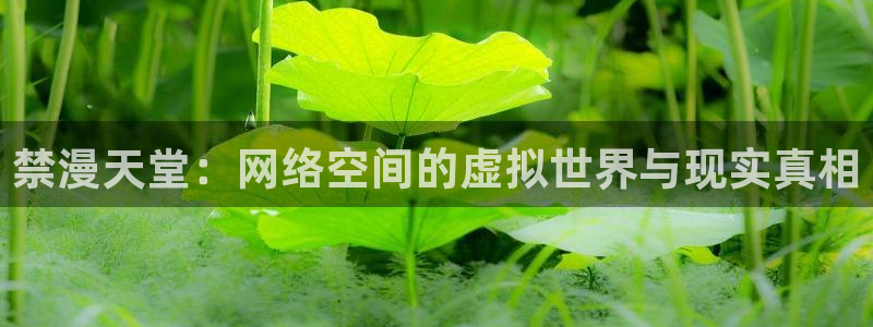 age樱花动漫：禁漫天堂：网络空间的虚拟世界与现实真相