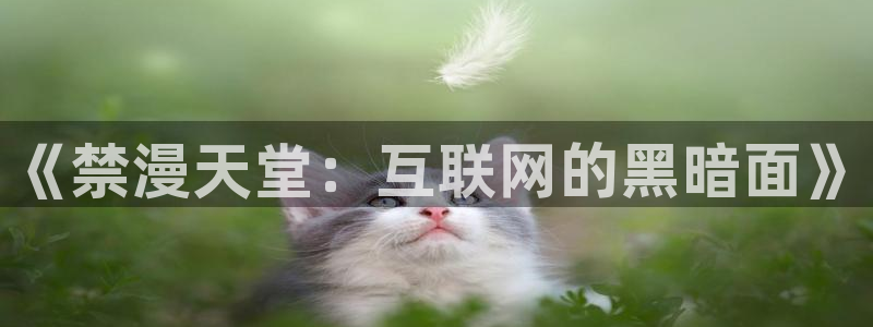 colamanage漫画下载：《禁漫天堂：互联网的黑暗面》