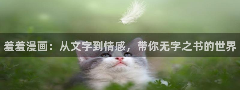 里番动漫：羞羞漫画：从文字到情感，带你无字之书的世界