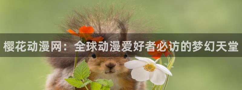 里番动漫正版网：樱花动漫网：全球动漫爱好者必访的梦幻天堂