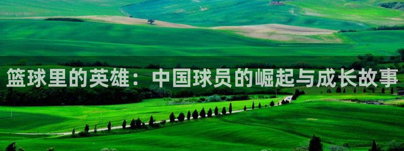 里番动漫网：篮球里的英雄：中国球员的崛起与成长故事