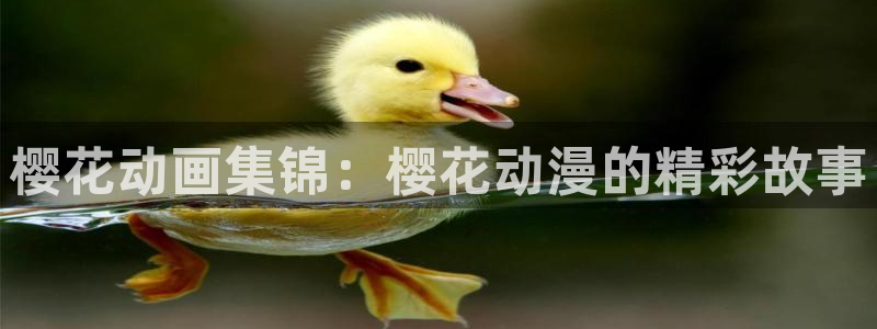 里番动漫网上看：樱花动画集锦：樱花动漫的精彩故事