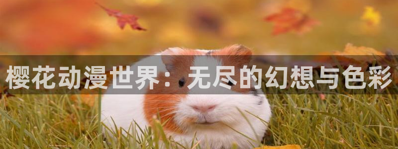 里番动漫官网樱花动漫：樱花动漫世界：无尽的幻想与色彩