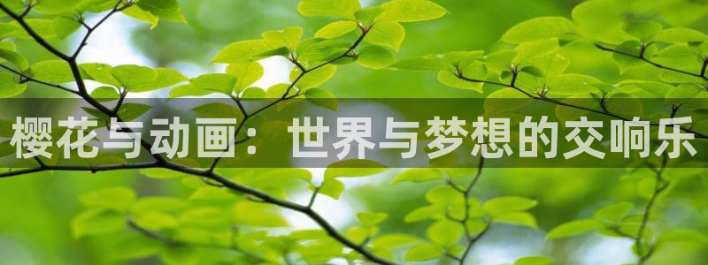 在线动画动漫下载里番动漫：樱花与动画：世界与梦想的交响乐