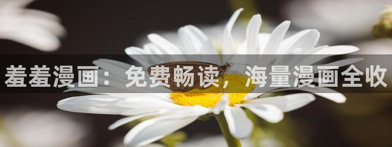 拷贝漫画 copymanager.ory网站：羞羞漫画：免费畅读，海量漫画全收