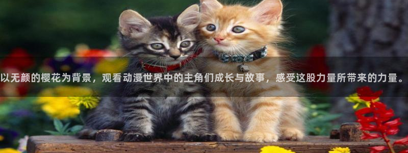 里番动漫网下载