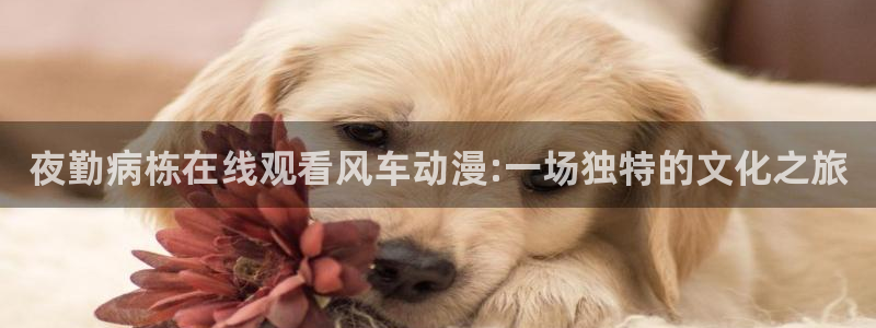 里番动漫官网入口老版本