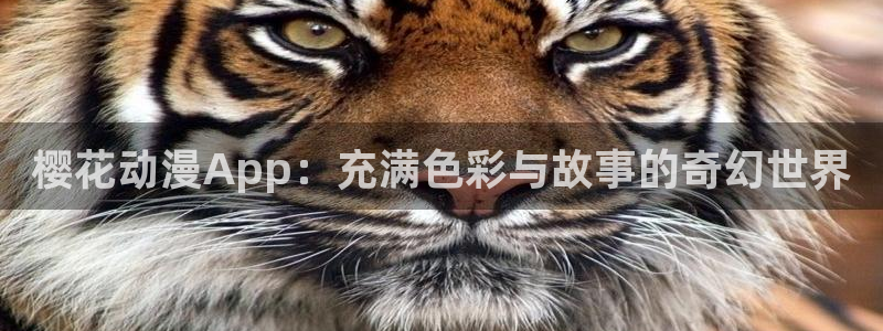 里番动漫专注动漫的门户网站