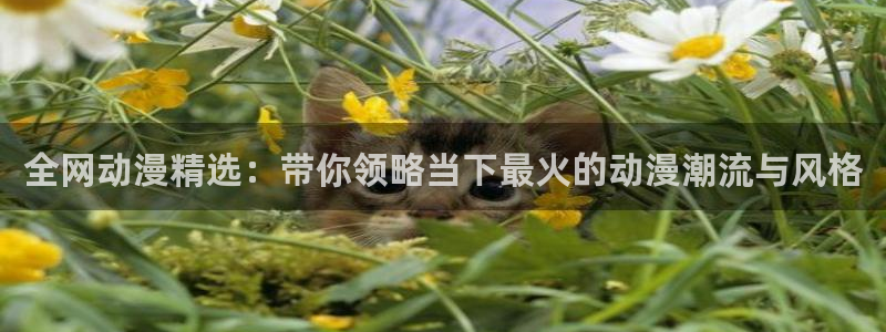 拷贝漫画 copymanager.ory网站
