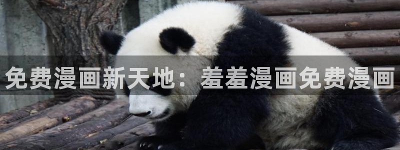 里番动漫下载网