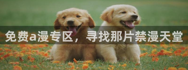里番动漫官网网址
