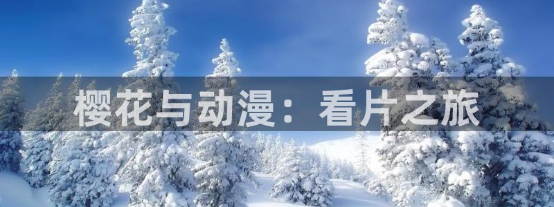 里番动漫下载网