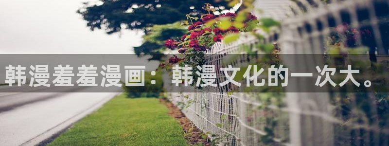韩国漫画平台kakaopage：韩漫羞羞漫画：韩漫文化的一次大。